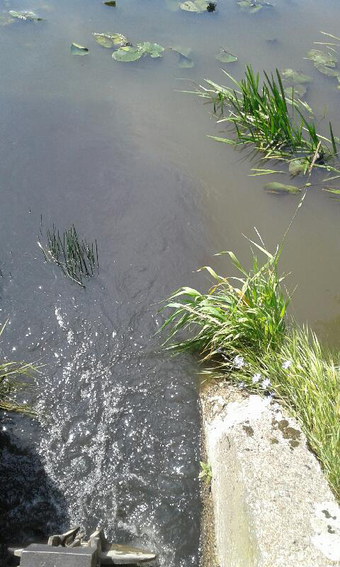 zanieczyszczona rzeka