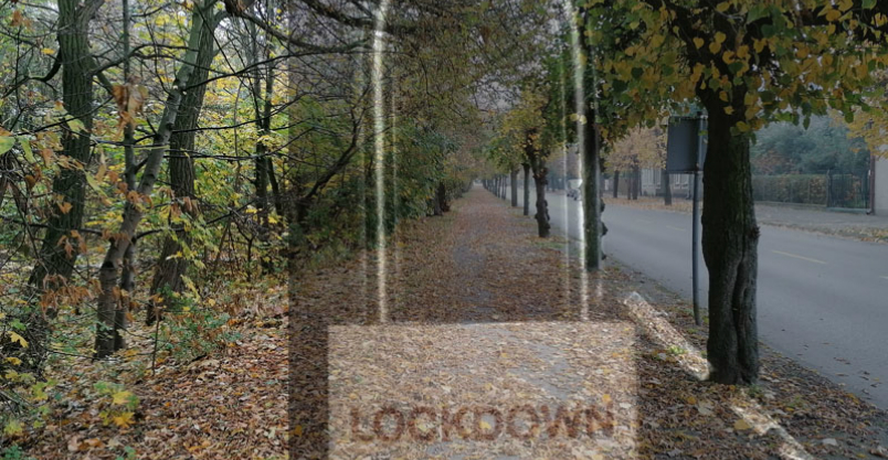 "Wymarłe miasteczko". Skuteczność lockdownu pod znakiem zapytania Kliknięcie w obrazek spowoduje wyświetlenie jego powiększenia